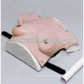 HR / F7C Vivid Breast Examination Model, Weibliche Lehre Brust Modell